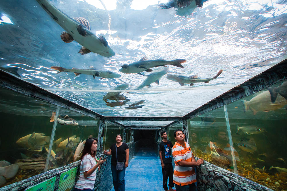 Monster World Aquarium Pattaya